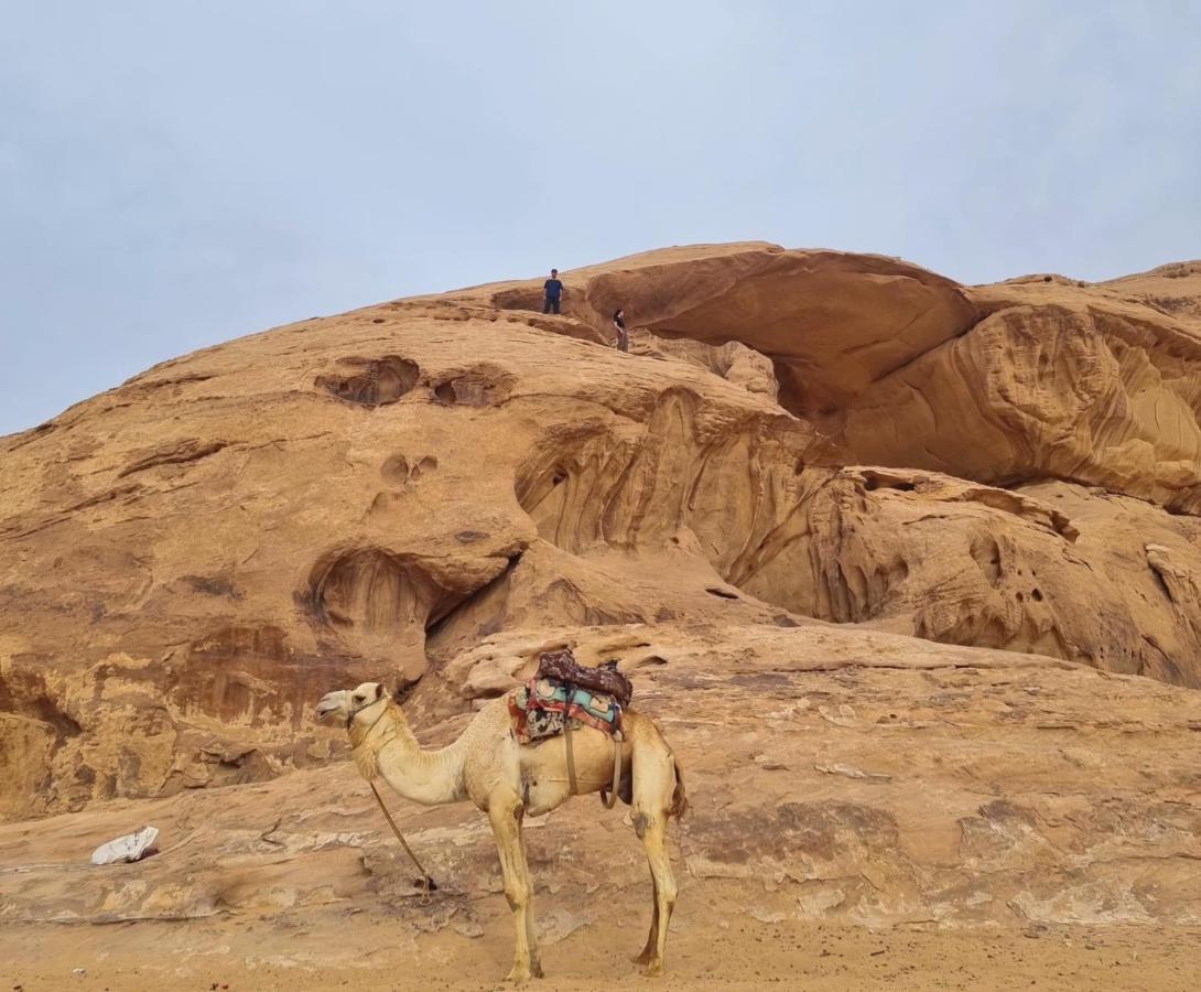 Wadi Rum Hugo Camp Kültér fotó